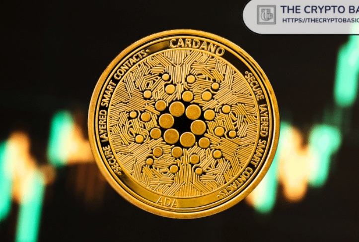 分析师称,尽管今年触底,但卡尔达诺牛市“并未取消”