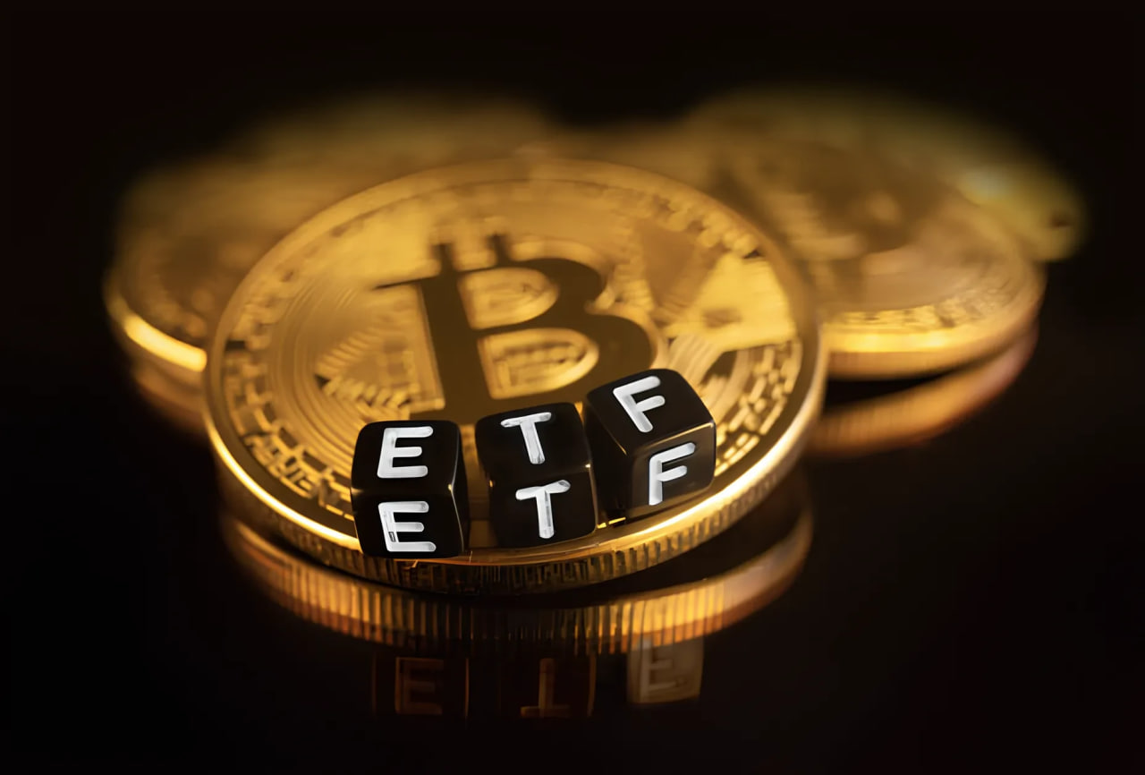 比特币市场波动中的“聪明资金”:持有量变化与长期价值信心分析