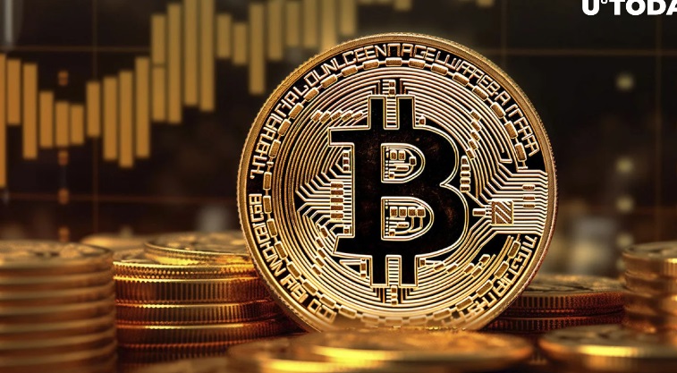主要比特币持有者抢购 133,300 BTC:详情