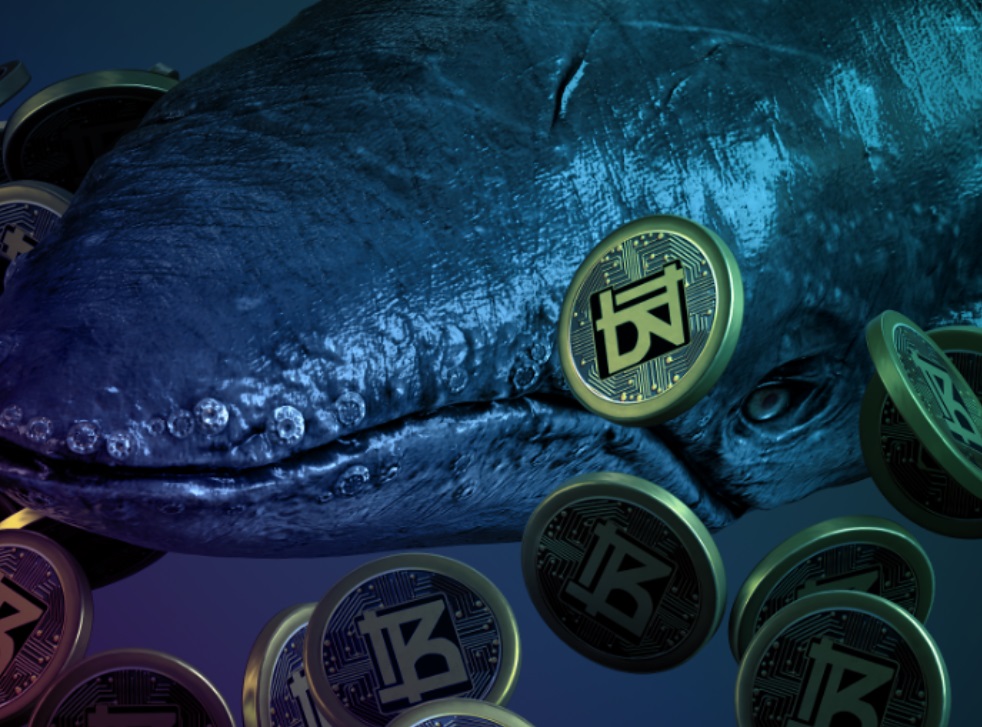 SHIB 和 ETH 代币交易者蜂拥而至,Bitnance 预售量每日突破 2.25K