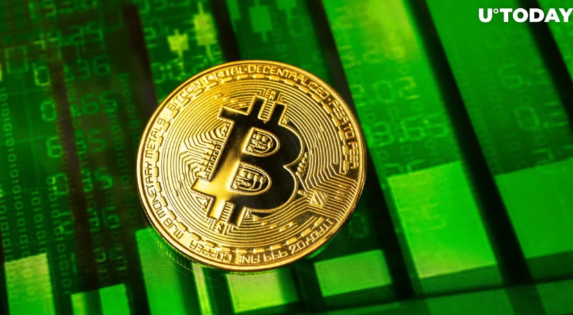 顶级分析师 Willy Woo 发现比特币(BTC)的下一步走势