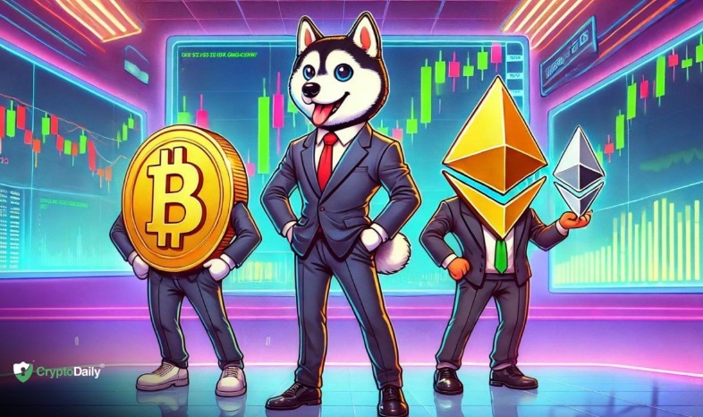 市场复苏之际​​，Memecoin 投资者纷纷涌向 Husky Inu ($HINU)