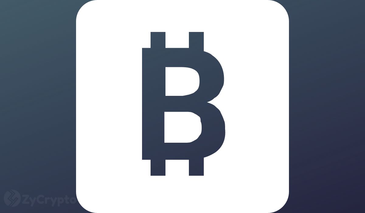 比特币鲸鱼加大囤积力度:BTC 价格下一步将如何发展?