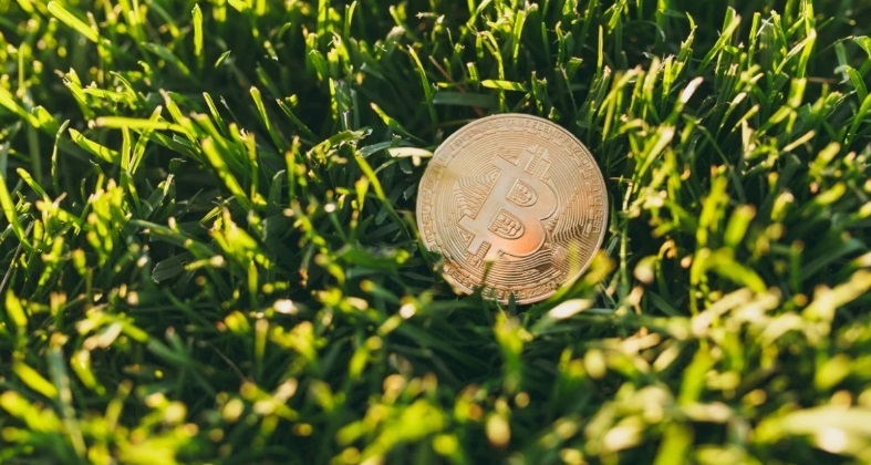 感到疲惫?持有比特币,亲近自然