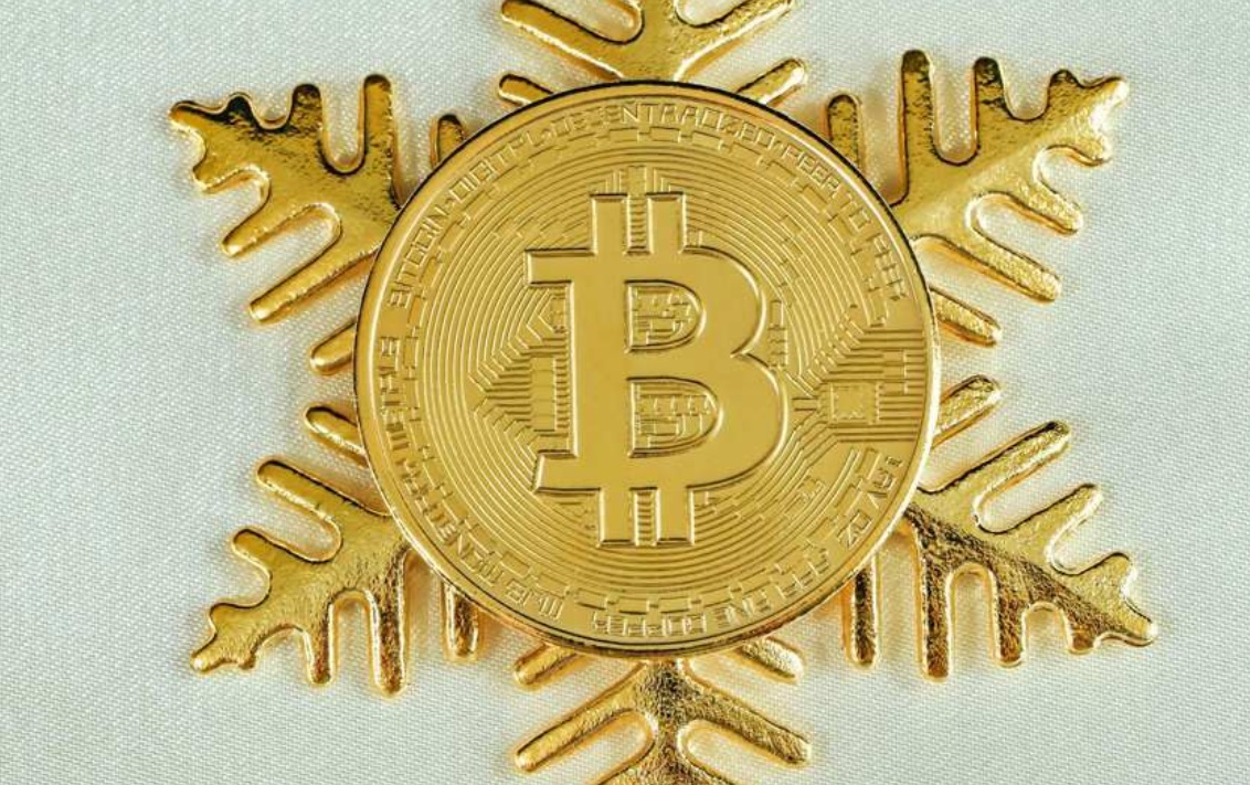 BTC 整合:奥斯汀大学推出 500 万美元比特币基金